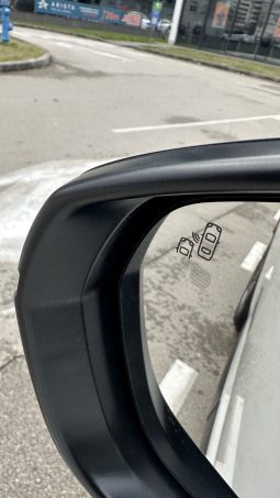 DS7 Crossback E-Tense 225, RIVOLI, PANORAMA, EKSTRA STANJE full