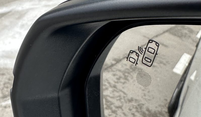 DS7 Crossback E-Tense 225, RIVOLI, PANORAMA, EKSTRA STANJE full