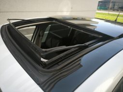 Renault Scenic TCe 130, BOSE, PANORAMA, KAMERA, TOP full