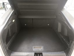 Renault Megane Conquest 1,6 R.S.Line, FULL OPREMA, KAMERA 360, EKSTRA full