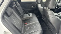 DS7, Crossback E-Tense 225, Rivoli+, PANORAMA, U PDV-u full