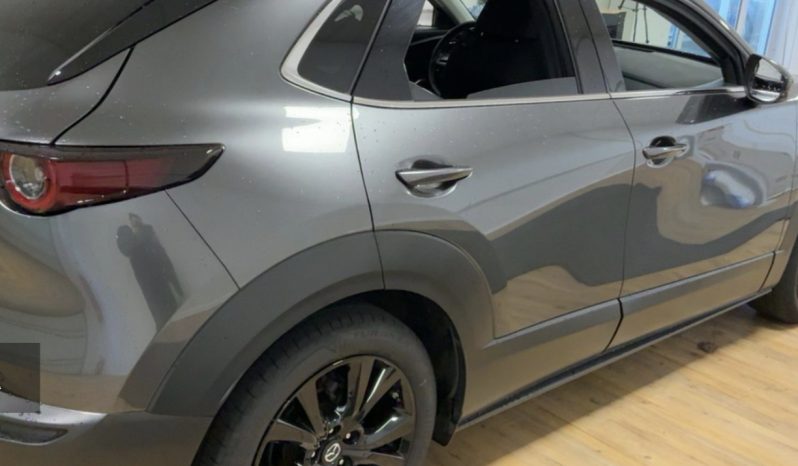 Mazda CX-30 2.0 G150, Homura, EKSTRA STANJE, U DOLASKU full