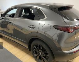 Mazda CX-30 2.0 G150, Homura, EKSTRA STANJE, U DOLASKU full