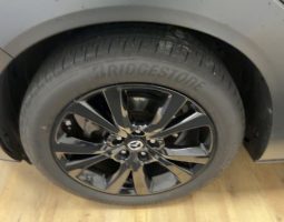 Mazda CX-30 2.0 G150, Homura, EKSTRA STANJE, U DOLASKU full