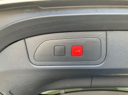 DS7 Crossback, E-Tense 225,Rivoli, PLUG-IN HYBRID, REDIZAJN, U DOLASKU full