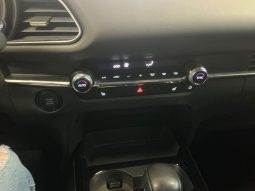 Mazda CX-30 G150, HOMURA, AUTOMATIK, KAMERA, U DOLASKU full