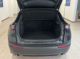 Mazda CX-30 G150, HOMURA, AUTOMATIK, KAMERA, U DOLASKU full